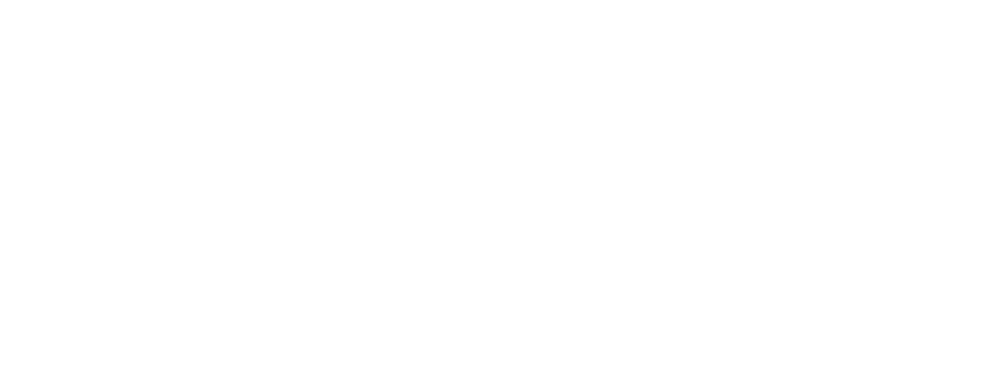 BDD 2019 — логотип