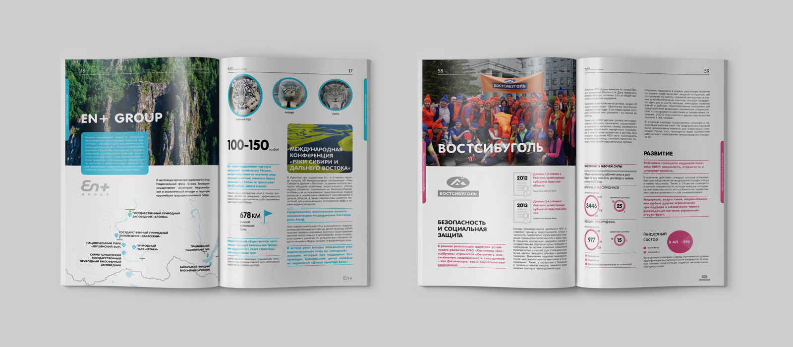 Разворот отчёта En+