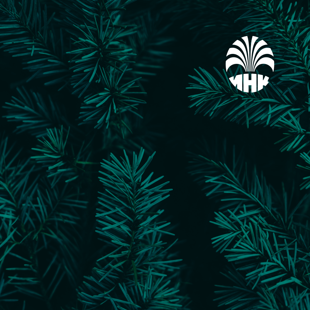 Интранет-портал Иркутской нефтяной компании