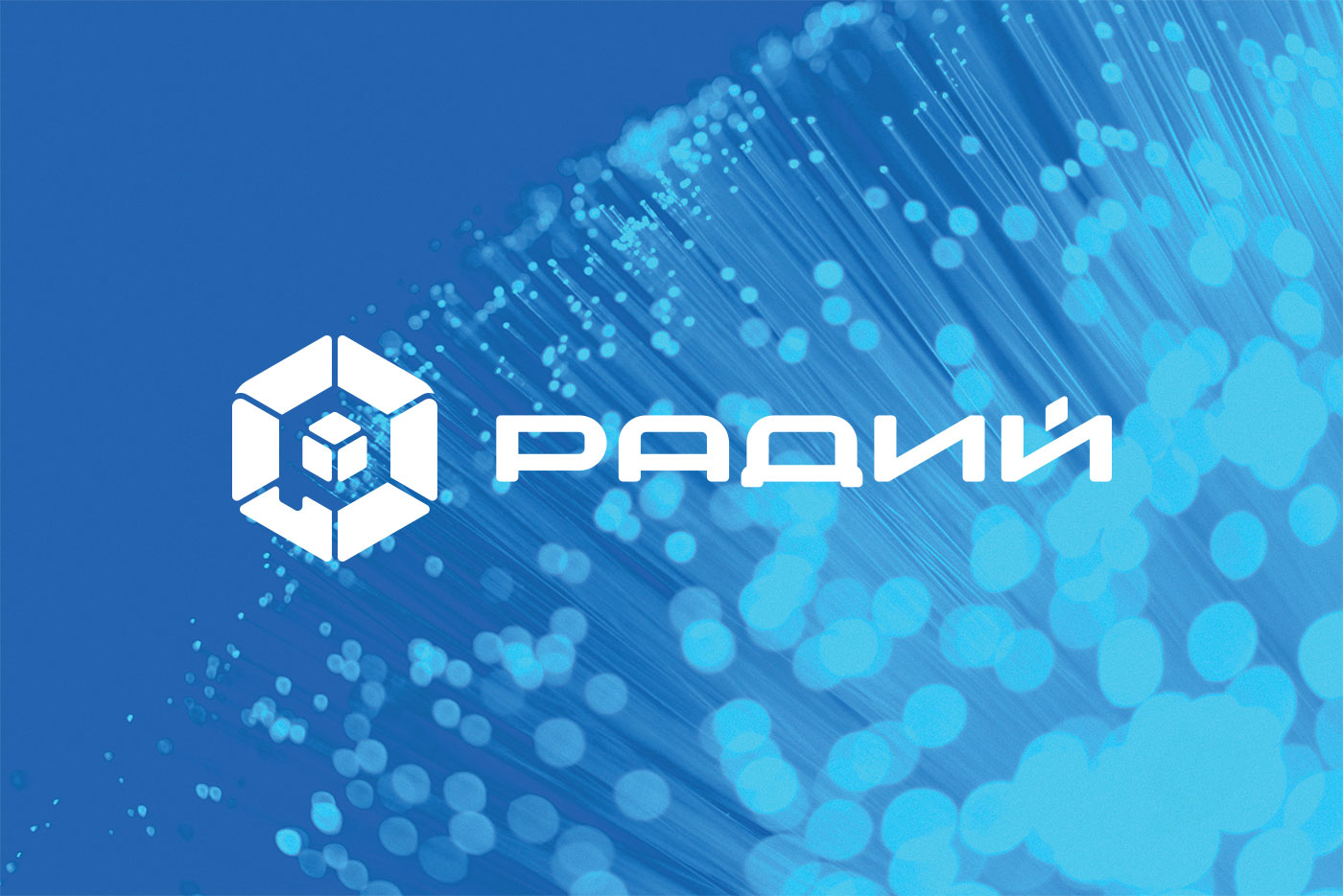 Фирменный стиль компании Радий